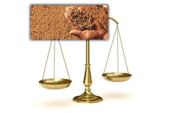 Grain vendu au poids