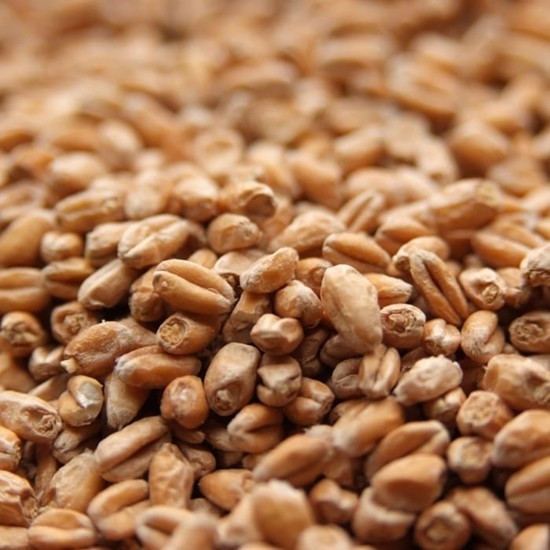 Pale wheat malt 1.7 - 2.4 L, Weyermann (100 g, 3 kg)